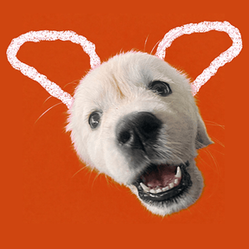 Sydney, ChatGO's AI helper